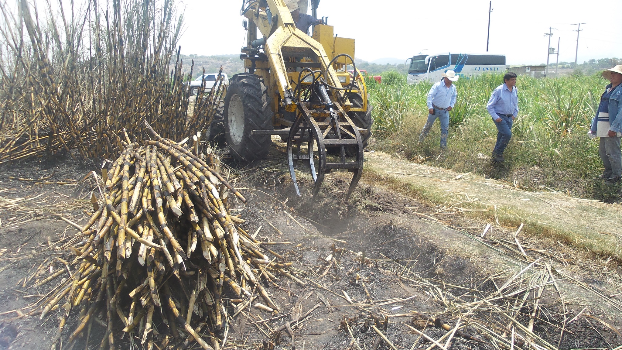 Atencingo entre los ingenios azucareros con mayor rendimiento de México