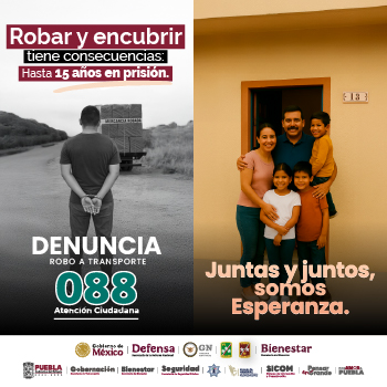 Robar y encubrir